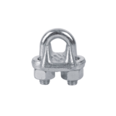 Is the Momentum for US Type Drop Forged Wire Rope Clips Gaining in Global Markets?
